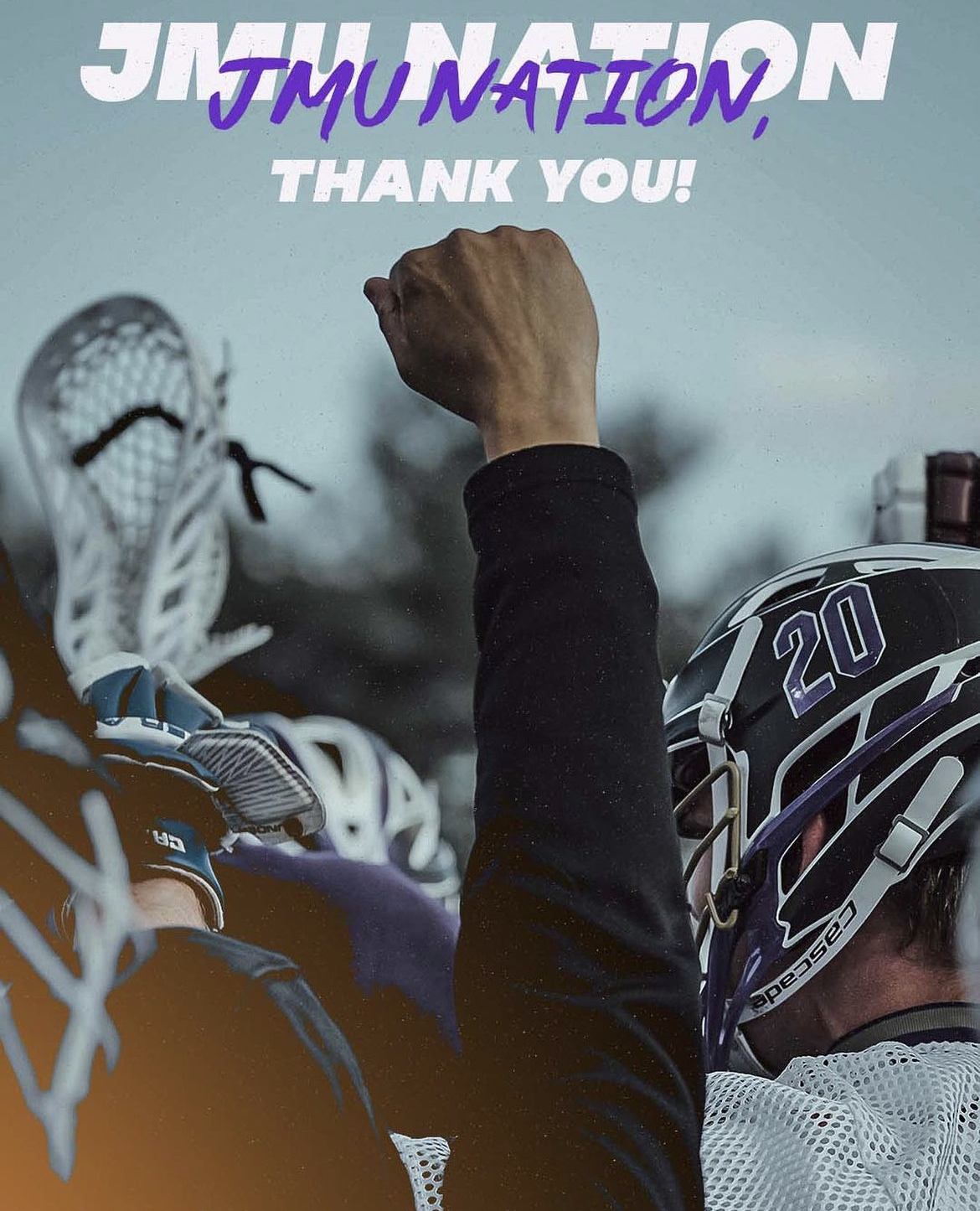 picture that is the on the go fund me page